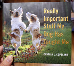 Really Important Stuff My Dog Has Taught Me