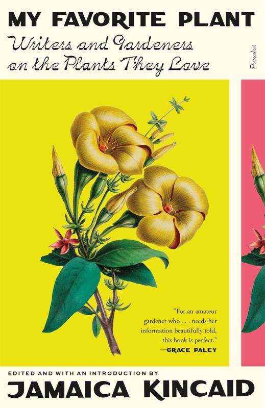 yellow flower with black text