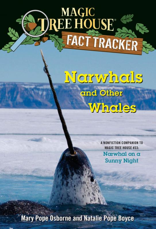 a narwhal pokes its long horn out of an icy sea