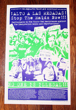 Stop the Raids!: Youth Resistance to Immigration Raids poster