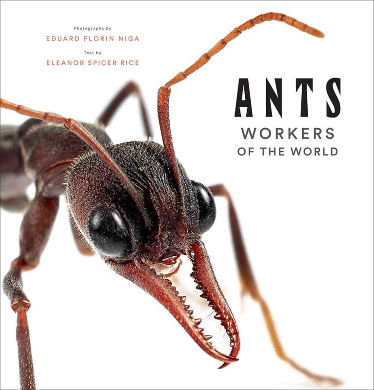 Ants: Workers of the World