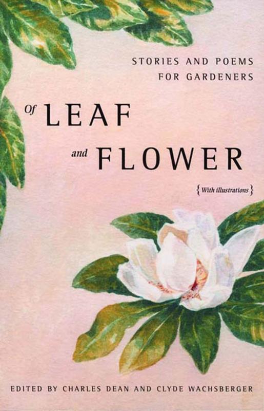 pink cover with illustrated flower with black text
