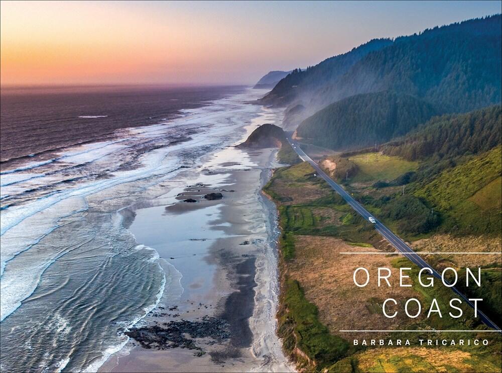 a stretch of Oregon coastline.