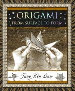 Origami: From Surface to Form