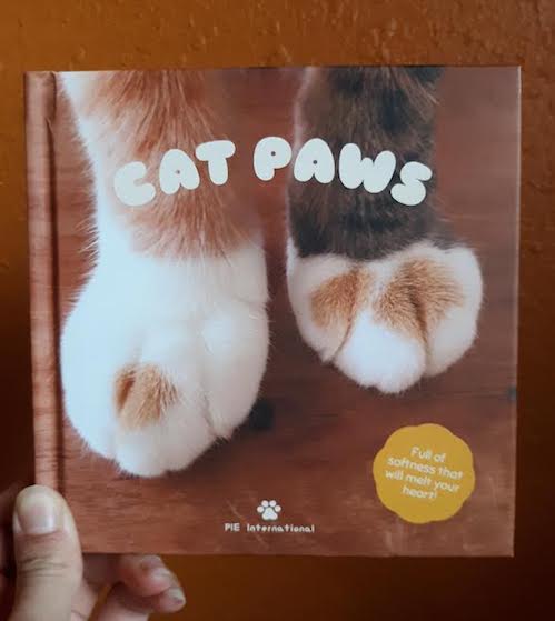Cat Paws: Full of Softness that Will Melt Your Heart