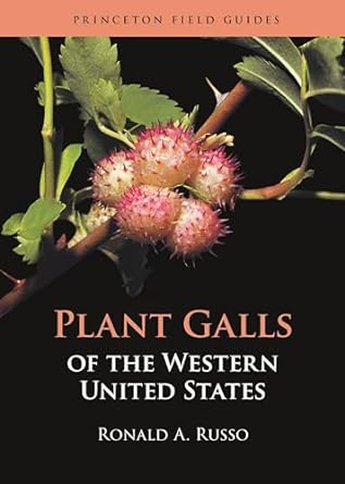 Plant Galls of the Western United States