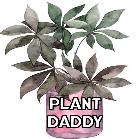 Plant Daddy image #1