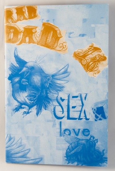 A blue zine with birds having sex in the air and bees having sex on the ground