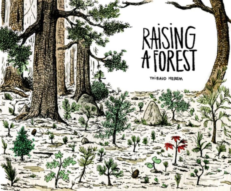 an illustrated forest scene with many young trees