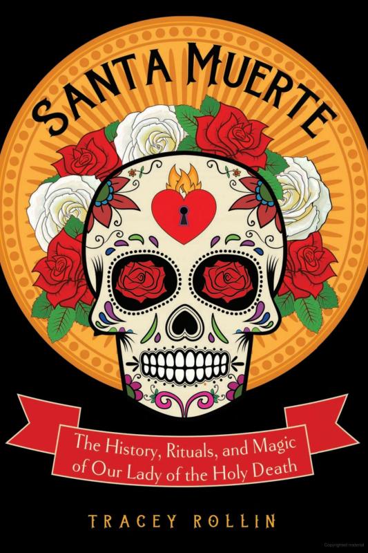 an illustration of a sugar skull surrounded by white and red roses