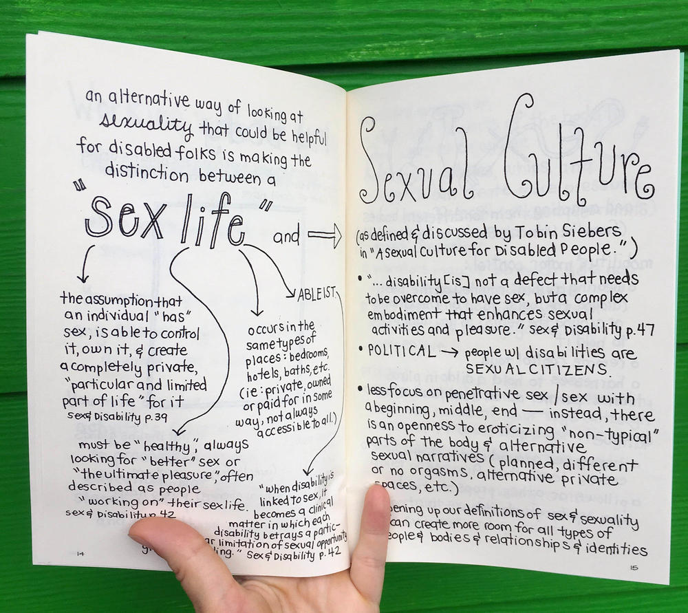 Disability & Sexuality: An Introductory Guide for Sex Educators & Able-Bodied Allies image #1