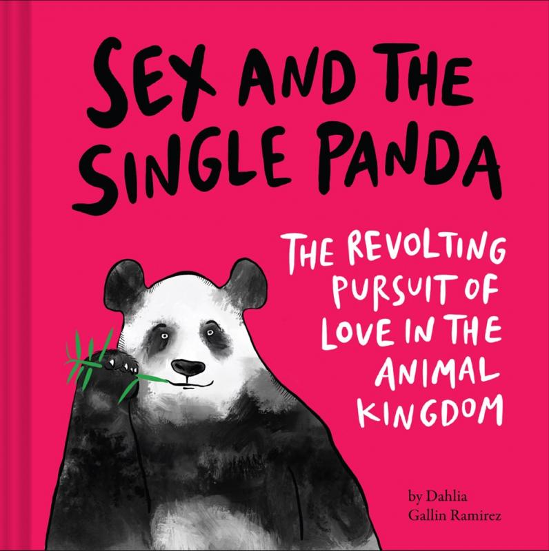 an illustrated panda chewing a bamboo shoot