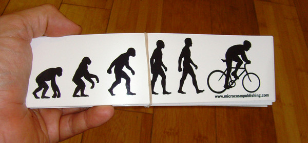 evolution vinyl sticker