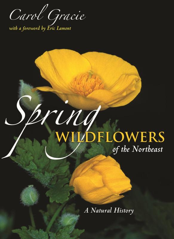 black cover with yellow flowers with green leaves with white and yellow text
