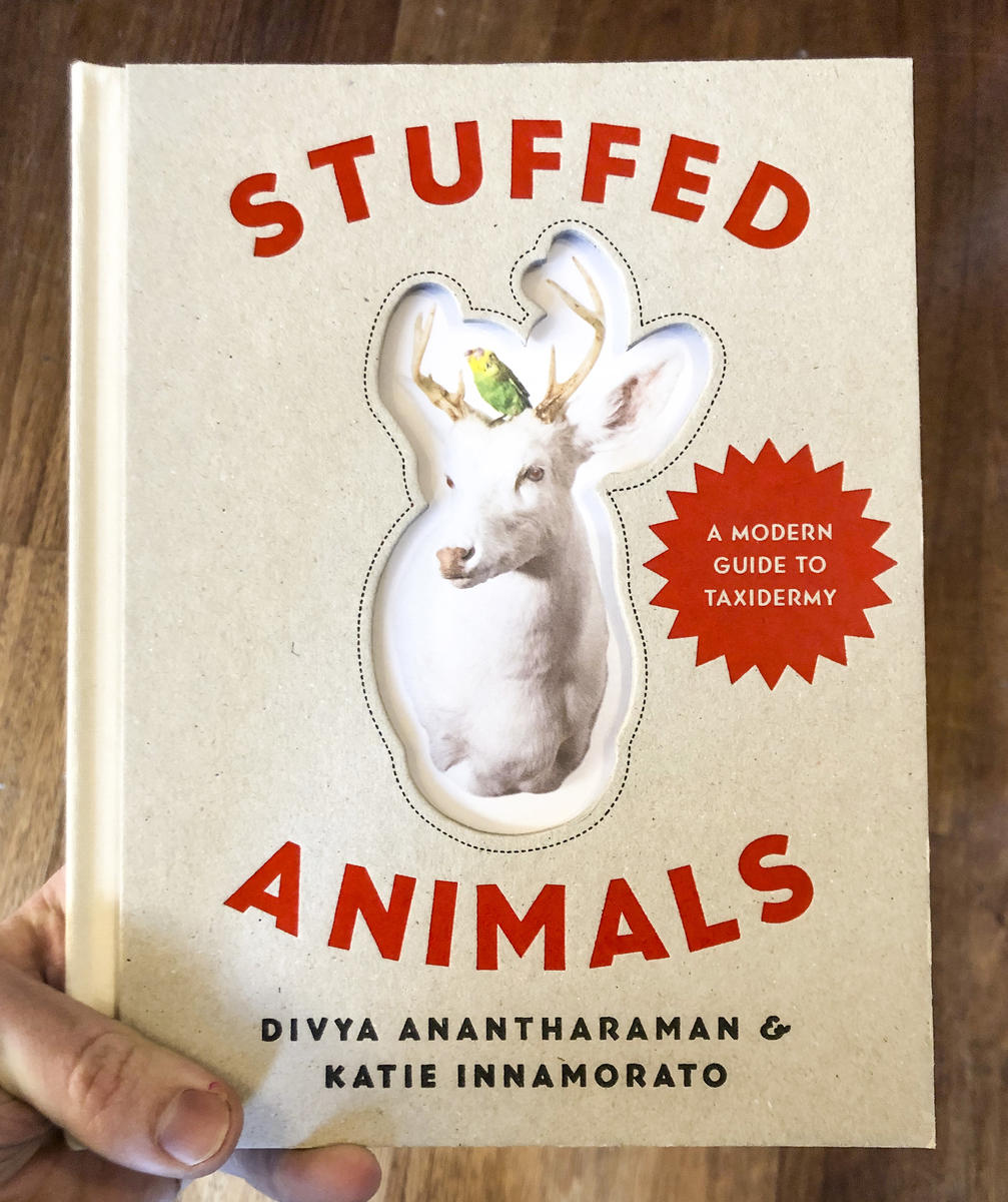 Stuffed Animals: A Modern Guide to Taxidermy | Microcosm Publishing