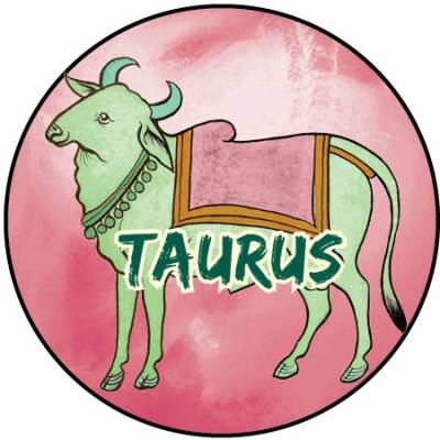 a bull.