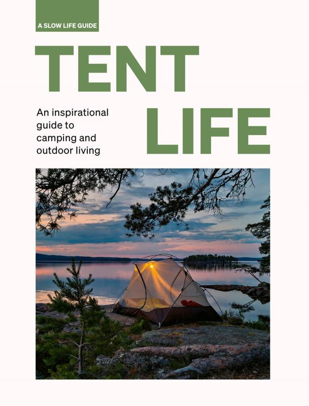 white cover with green text with illustration of a text