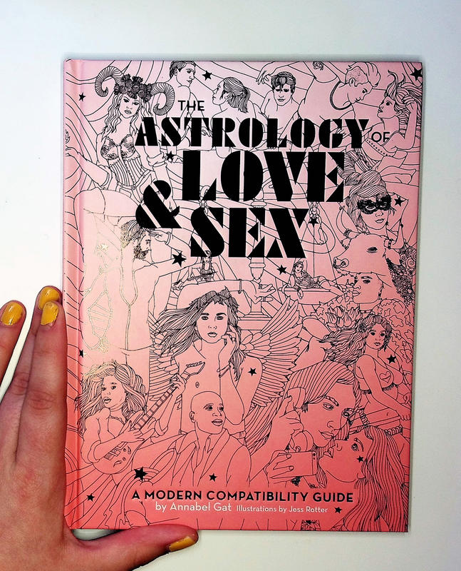 Pink cover with line drawings of representations of the different signs