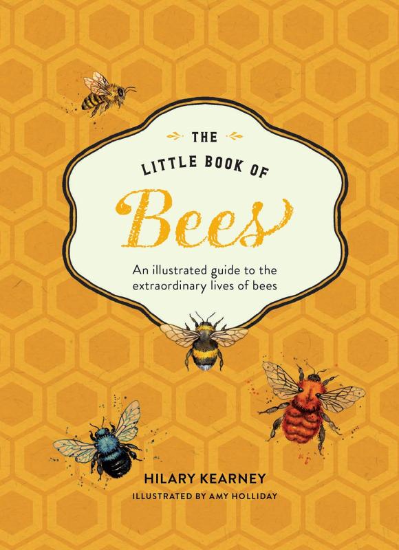 Honeycomb cover with friendly little bees.