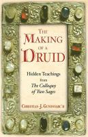 Making of a Druid: Hidden Teachings from the Colloquy of Two Sage