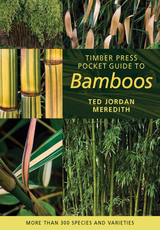A variety of bamboos.