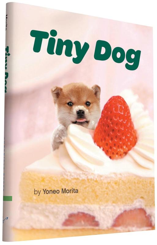 pink cover with strawberry cake and tiny dog on top