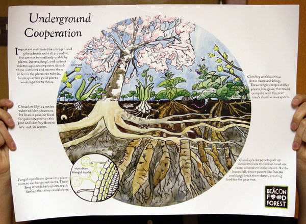 Underground Cooperation Poster