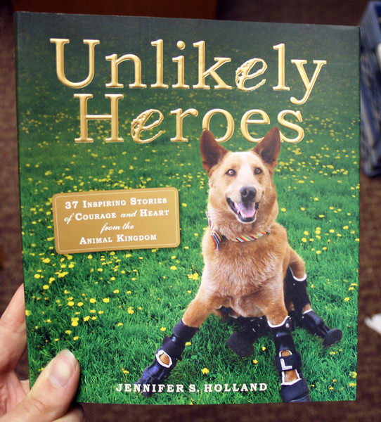 unlikely heroes by jennifer s. holland