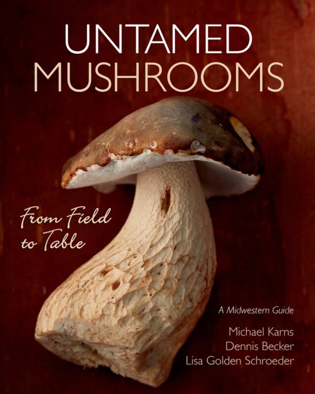 a large mushroom 