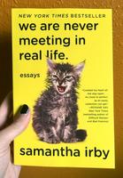 We are Never Meeting in Real Life: Essays