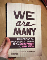 We Are Many: Reflections on Movement Strategy from Occupation to Liberation