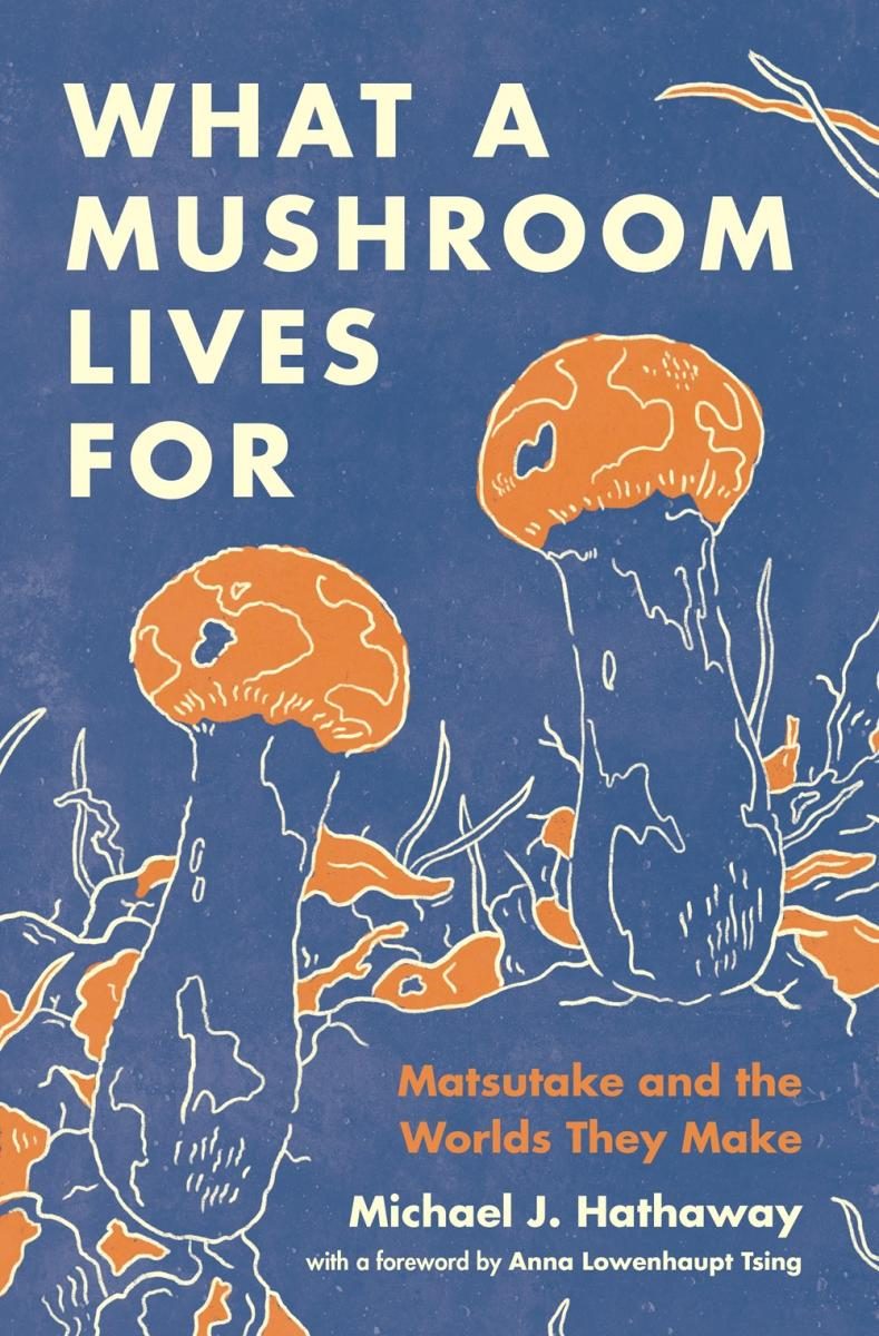 white and orange mushrooms with white text
