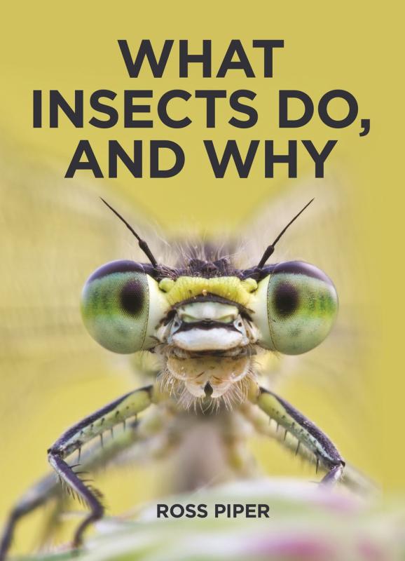 yellow cover with close up of insect head with black text