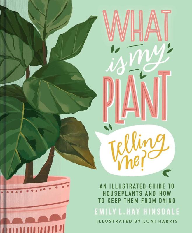 an illustrated houseplant