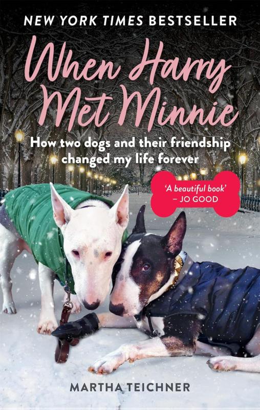 two dogs playing in the snow with pink and white text