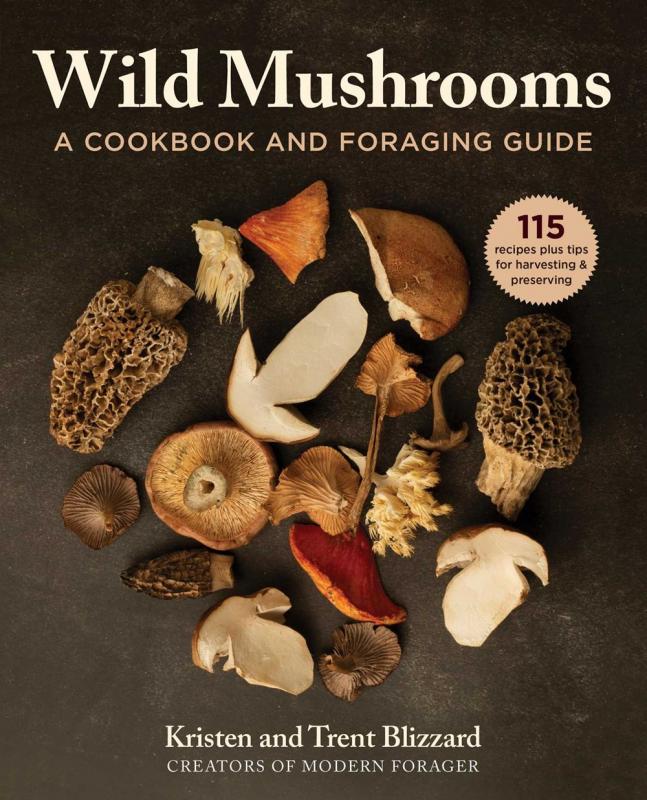 an assortment of wild mushrooms.
