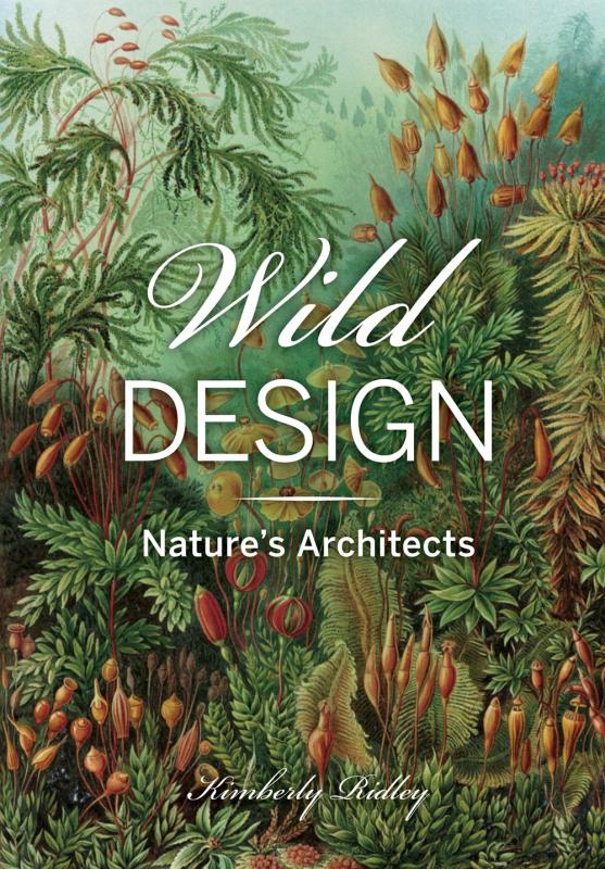 illustration of a primeval forest with white text