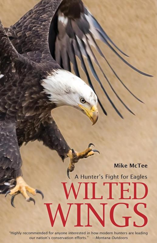 bald eagle