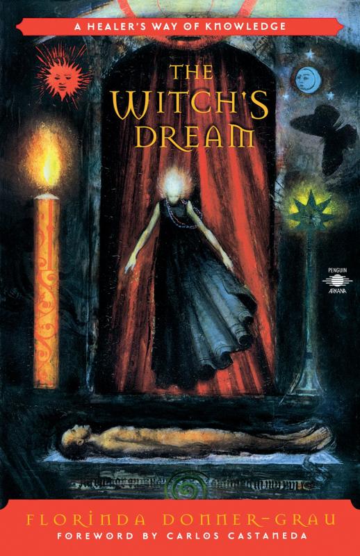The Witch's Dream: A Healer's Way of Knowledge