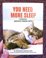You Need More Sleep: Advice from Cats
